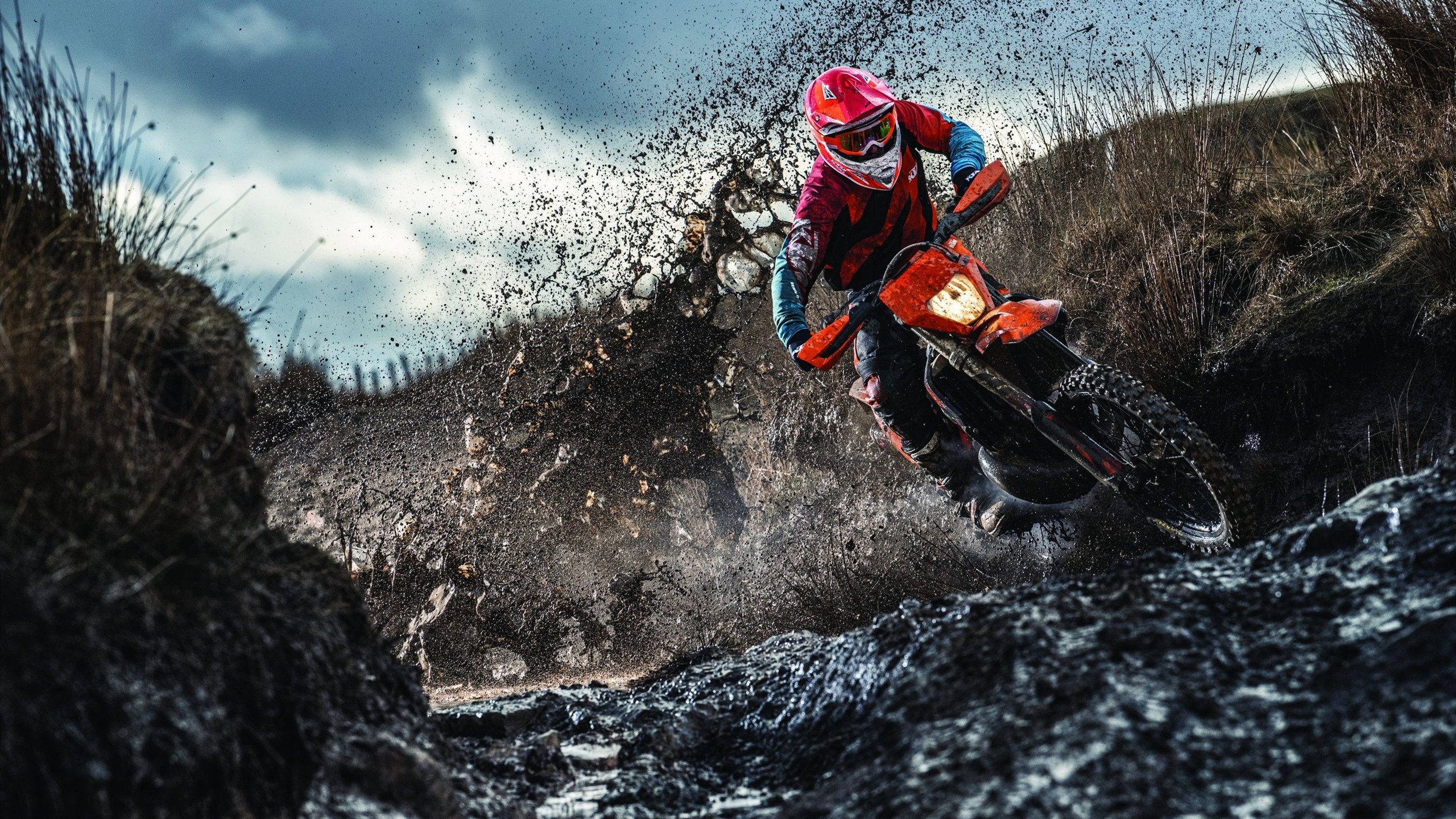 国际泳坛再起禁赛风波 顶尖选手涉药引发轩热议