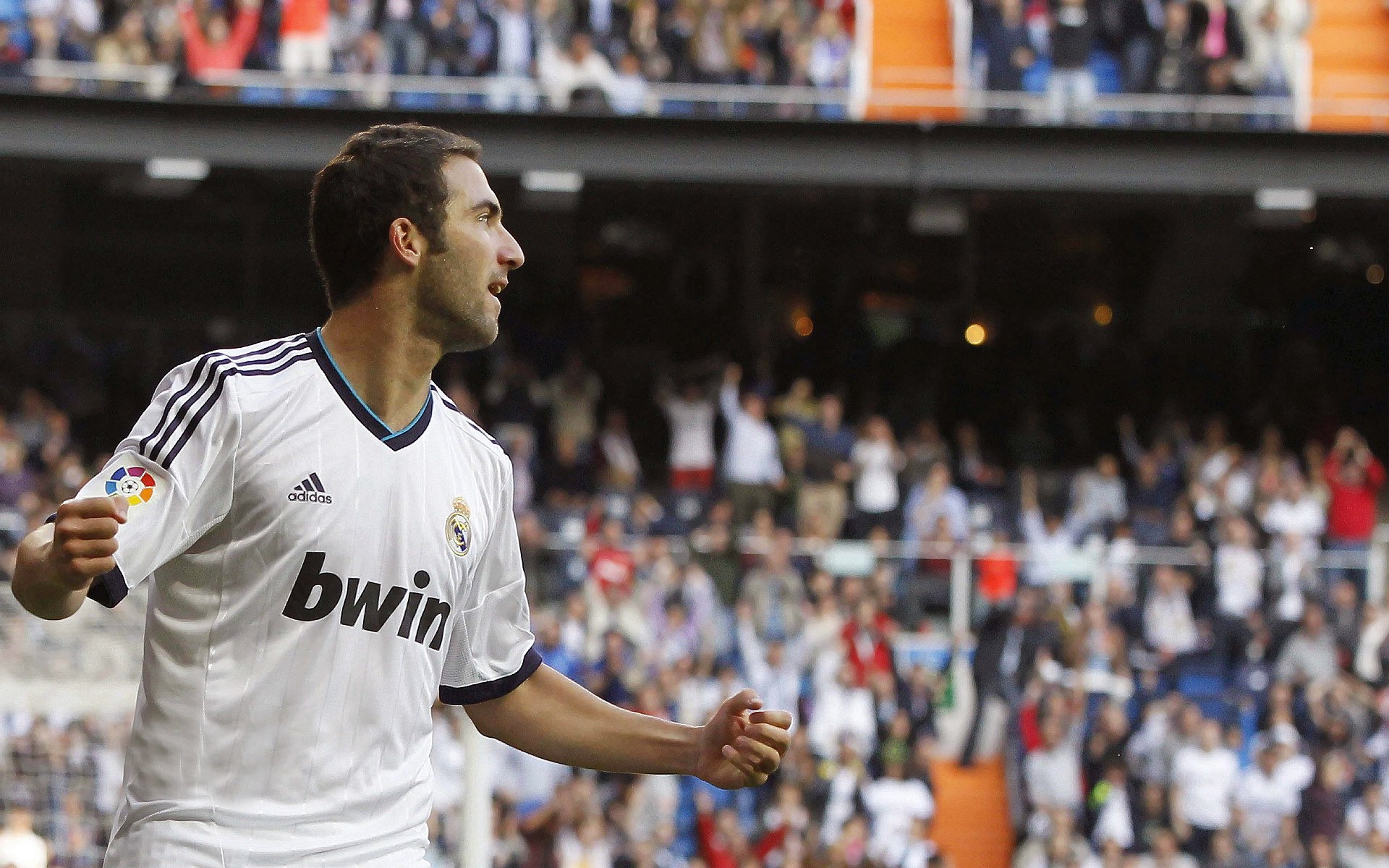 国际帆船赛圆满落幕 东道主队勇夺桂冠